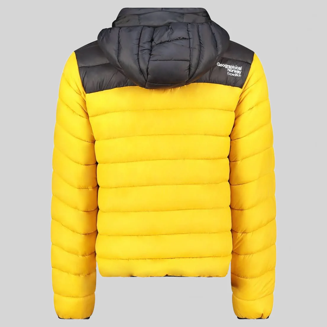 Geographical Norway AMIGOCLERC HOOD Homme - Blouson - Image 15