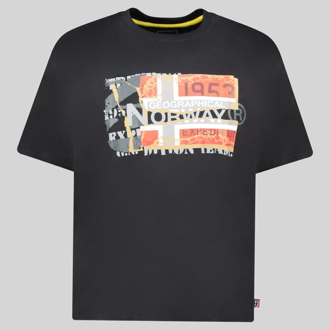 Geographical Norway JAYTORN Homme - Tee Shirt - Image 32