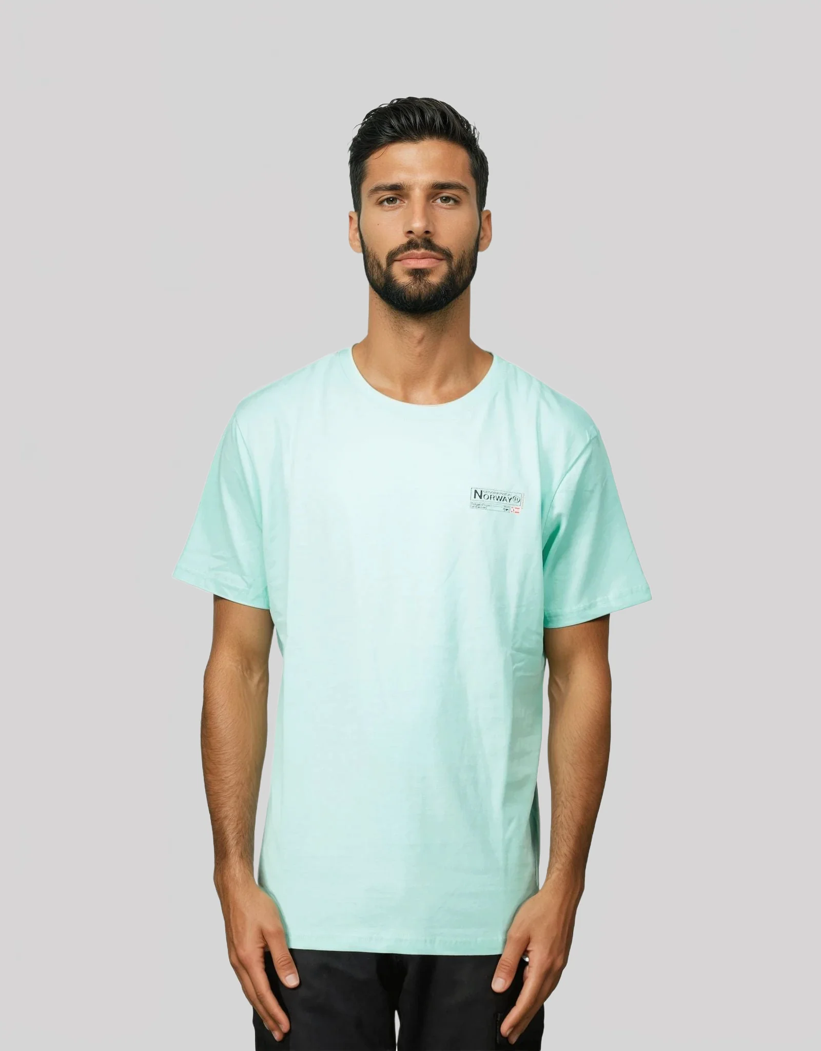 Geographical Norway JILVA Homme - T-shirt - Image 6