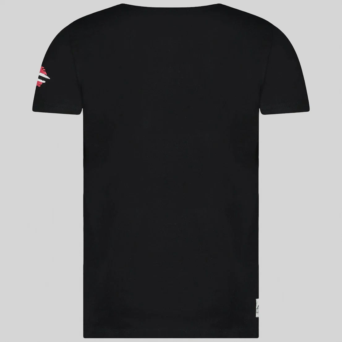 Geographical Norway JOTHAM Homme - T-shirt - Image 4